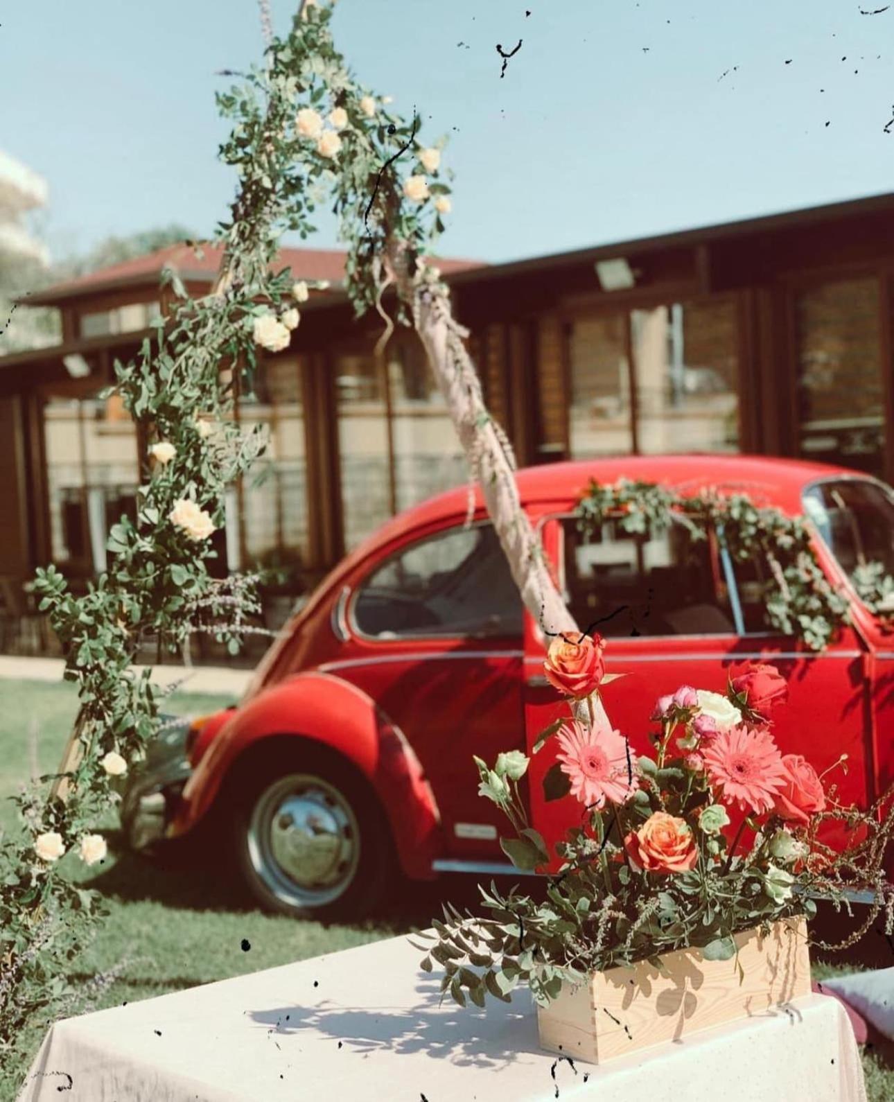 Apart Hotel Llolla Ulcinj Ngoại thất bức ảnh